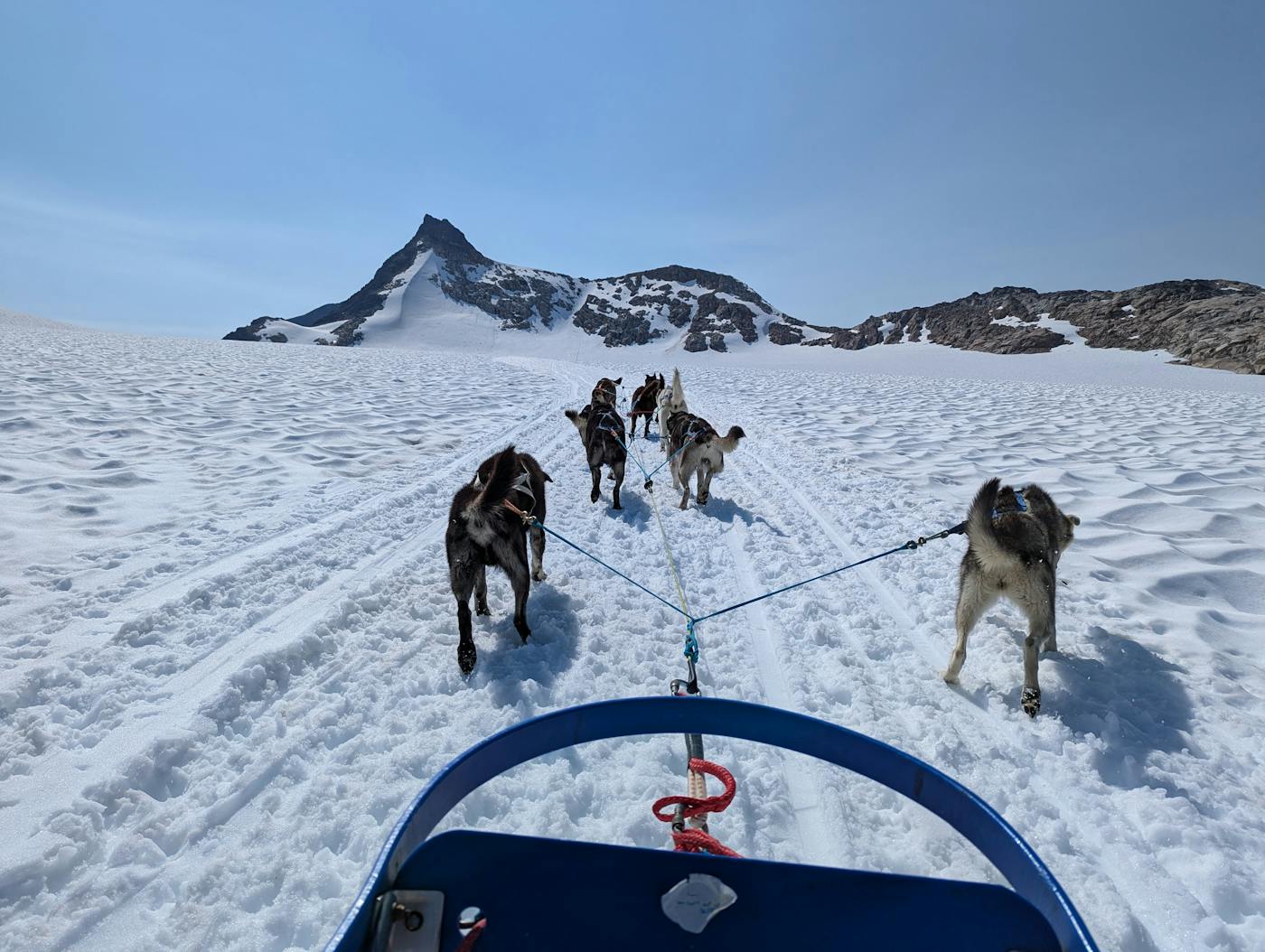 Privat fiskeguide heldag