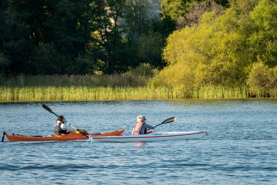Two paddlers in kayaks on a sunny day
